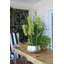 Fabric and Silk Orchid Faux Floral Arrangement in Basket-1126865381