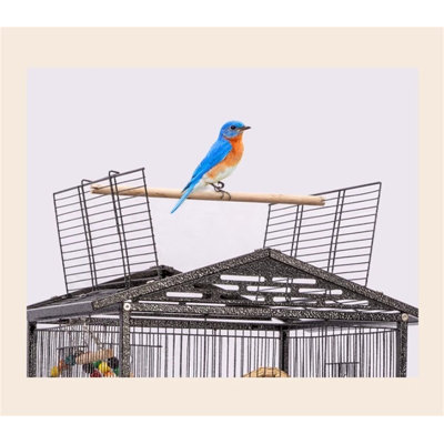 Dream Sky Bird Cage