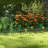 Shirely 28cm H x 243cm W Solid Wood Fence Panels Included