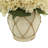 Hydrangea Arrangement in Pot