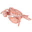 Sculpture Cole et Grey-138670628