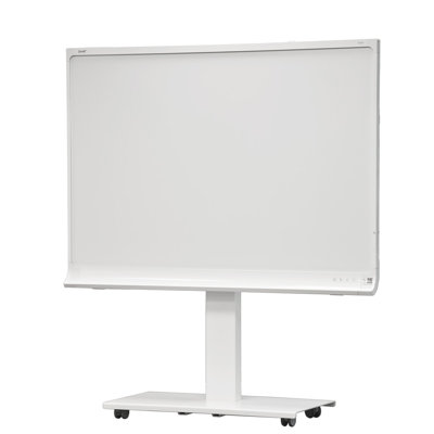 AVFI Single Screen Floor Stand Mount