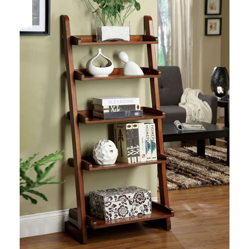 Stylish Transitional Ladder Shelf
