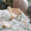 Anokh pêche Stilbite sur calcédoine