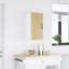 Carty Standard Wall Cabinet-221755275