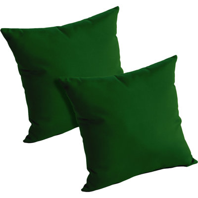  Outdoor Throw Pillow
