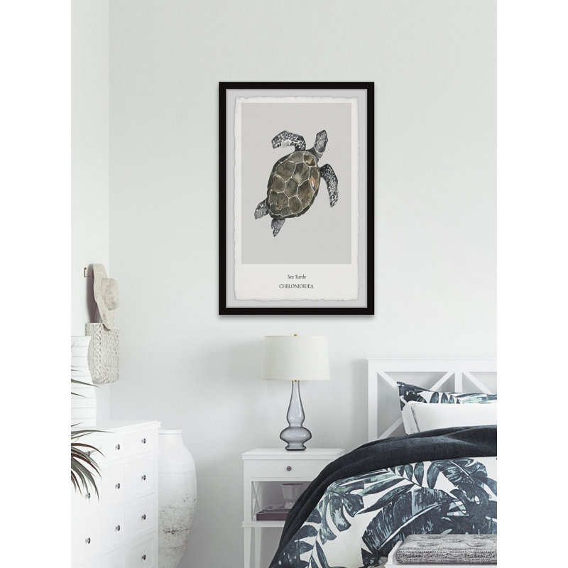 Chelonioidea - Single Picture Frame Print, 61cm H x 41cm W x 3.81cm D