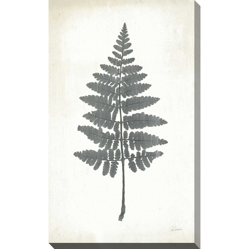 Tableau noir Fern II - Peinture, L 18 po x H 30 po, Toile tendue