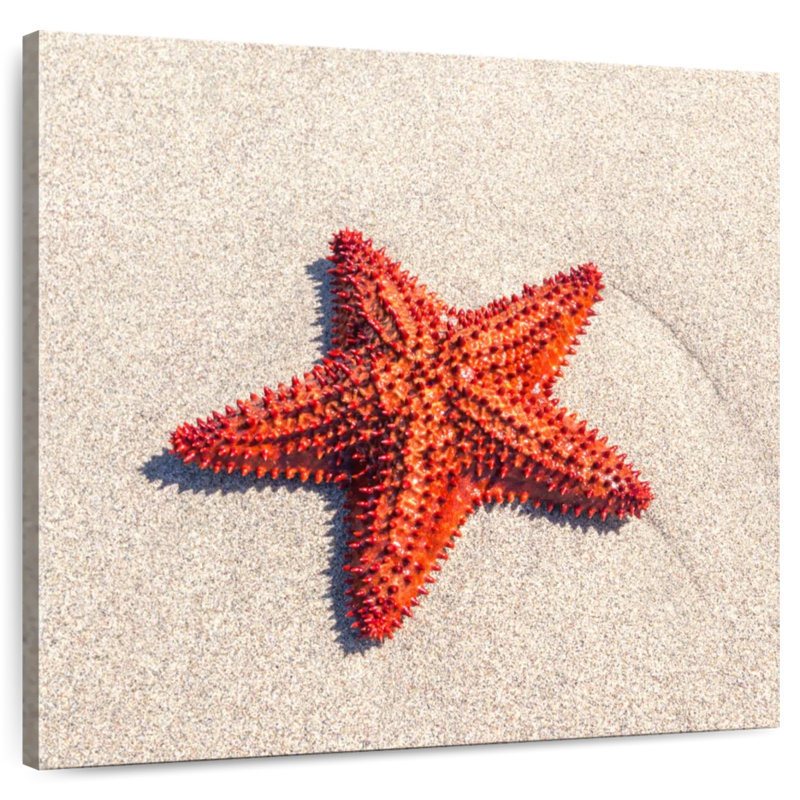 Coussin Aletra, H 30 po x l 30 po