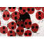 Mid Century Modern Hand Knotted Animal Print Area Rug-257306704