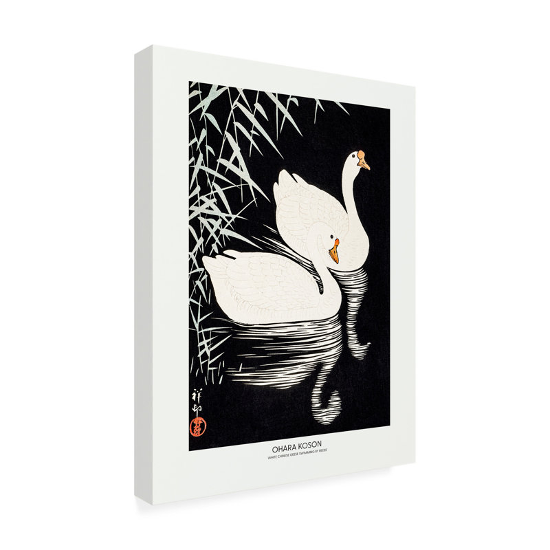 Oies blanches chinoises sur toile, images