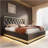Upholstered Bed, 360 Surround LED Function, Buttons/Apps/Remote Control, Hydraulic Storage Bed With USB Type-C Charging-1666764954-1666764957