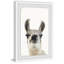 Black and White Llama - Drawing-43749804