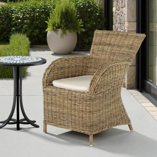 Magness Wicker Outdoor Dining Armchair with Cushion (Set of 2)