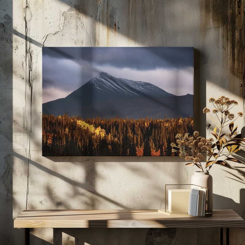 Wrapped Canvas Print, 50.8 cm H x 76.2 cm W
