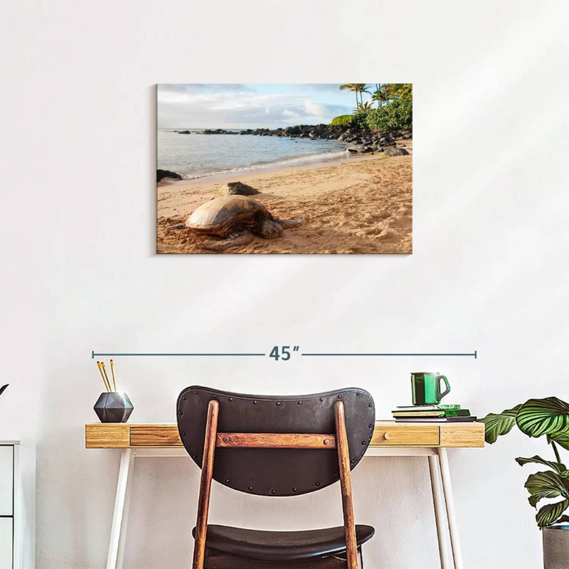 Turtle Beach, 20" H x 30" W