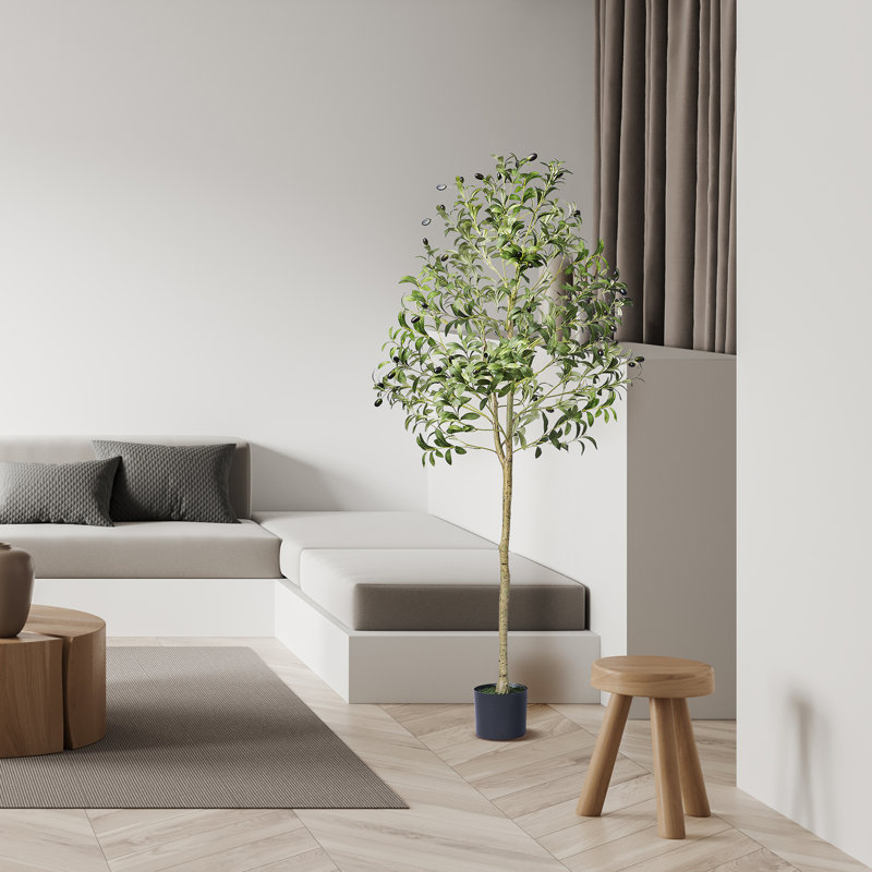 155.0cm Faux Olive Tree Tree in Planter