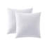 Inserts de plumes et duvet 18 x 18 (paquet de 2), coussins décoratifs pour lit, canapé et coussin-100887429