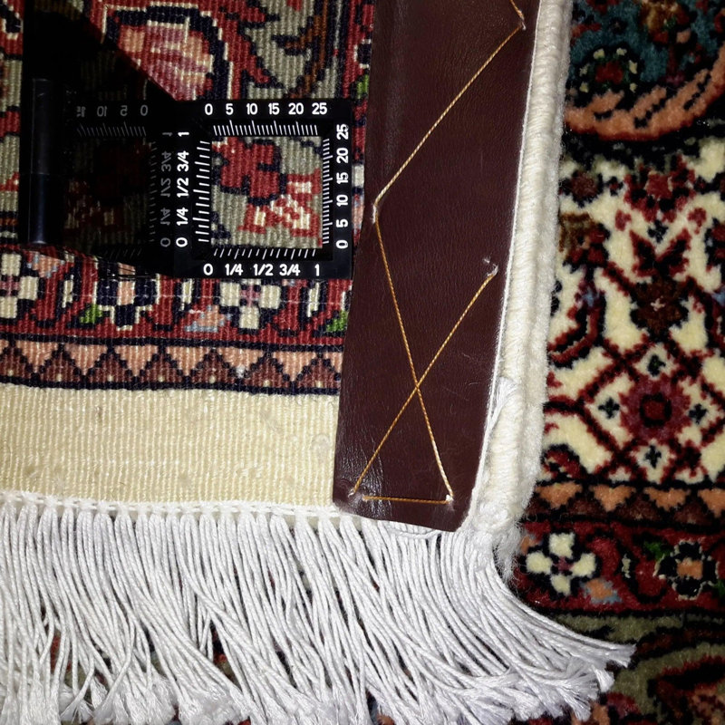 Oriental Area Rug in Beige