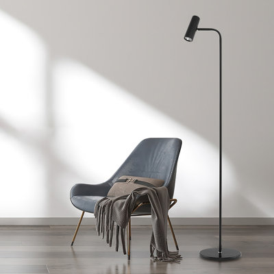 61.02'' Black LED Arched Floor Lamp