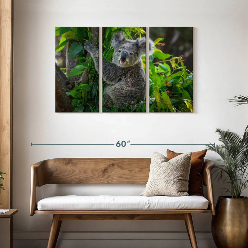 Mignon koala, H 28 po x l 45 po