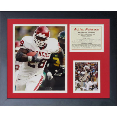 Single Picture Frame Memorabilia