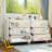 2-Piece White Dresser With Mirrored Drawers