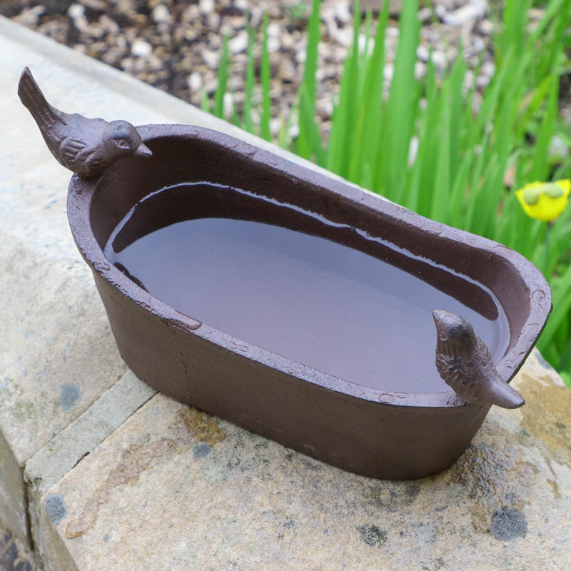 Ewan Iron Fountain Birdbath
