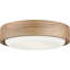 Richard June Transitional Aurelle Flush Mount Light-1218731376
