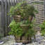 Burke Pot Planter