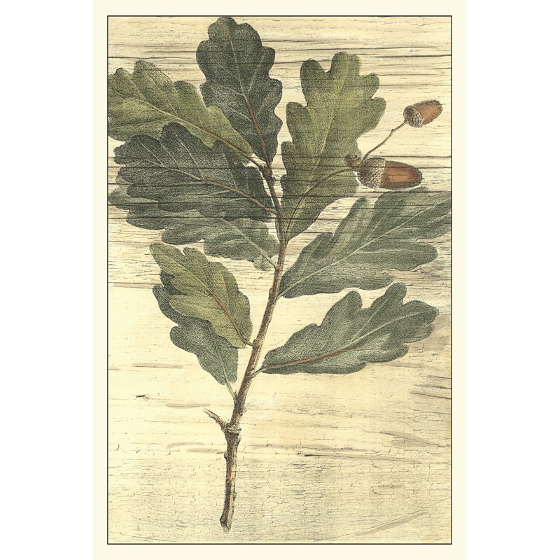 Weathered Oak Leaves II by Gerard Paul DeShayes - Wrapped Canvas Painting, 46cm H x 30cm W x 3.8cm D