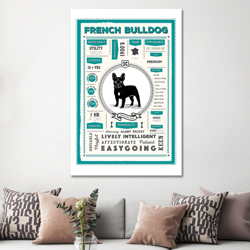 French Bulldog Infographic Blue by PaperPaintPixels - Wrapped Canvas Print, 152.5 cm H x 101.5 cm W