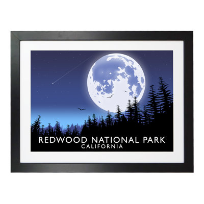'Redwood National Park' 1 Piece Wall Art