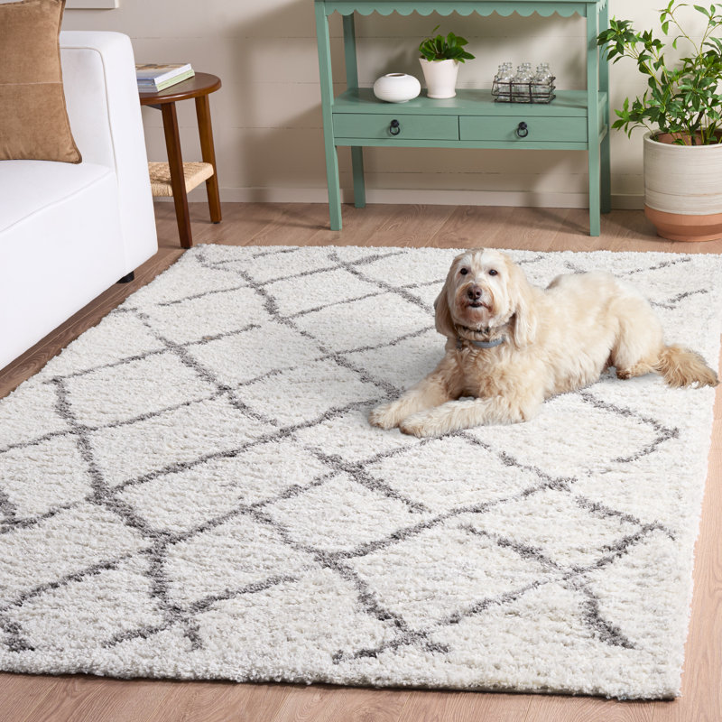Tapis à poils longs Zettie, Rectangle 5 pi 5 po x 7 pi 7 po