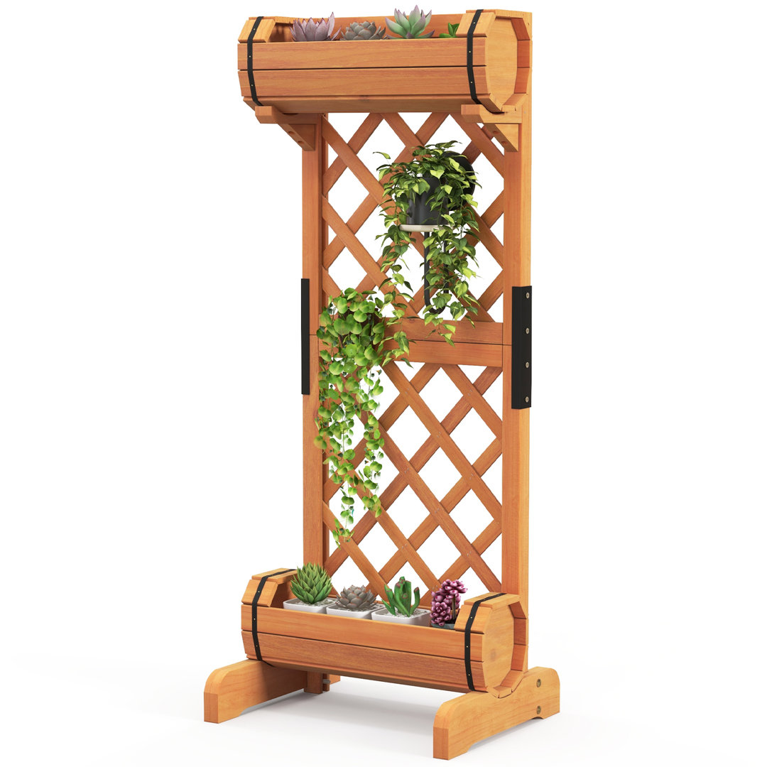 Pacchiana Vertical Garden with Trellis Arlmont & Co.