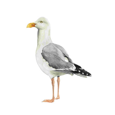 Oiseau de mer II