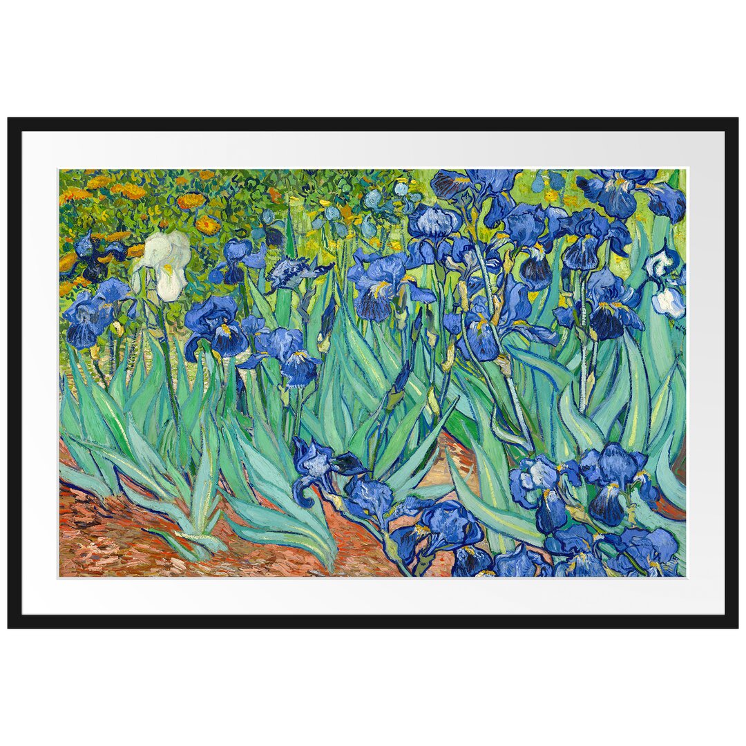 Gerahmter Kunstdruck Irises von Vincent Van Gogh