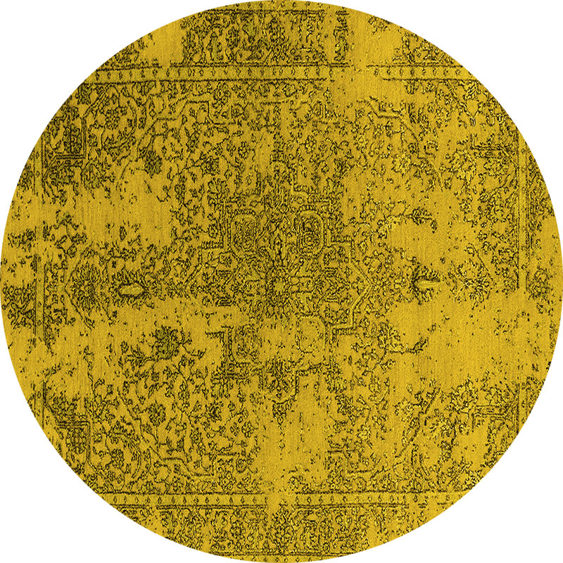 Oriental Indoor Rug