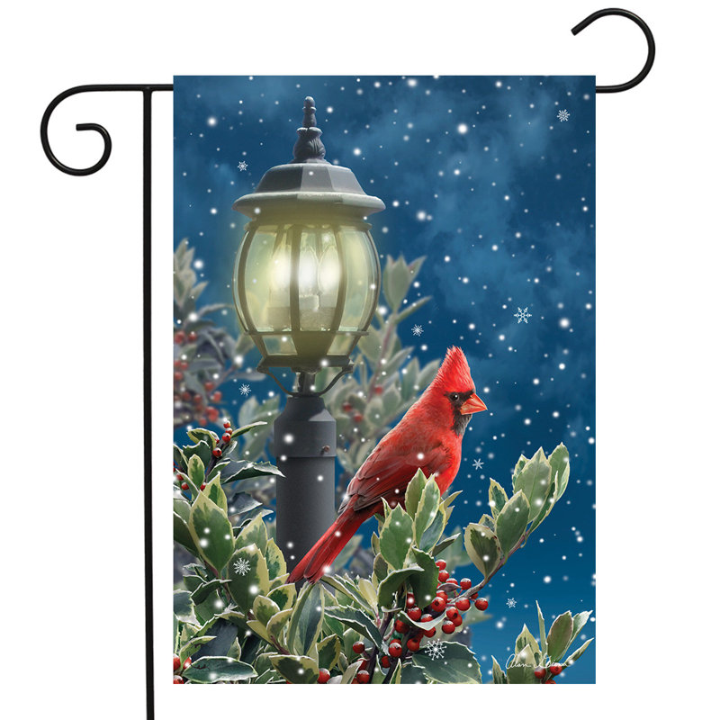 Hiver solitude drapeau de jardin cardinal