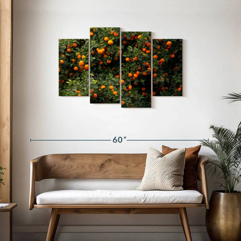 Oranges Harnek Valencia, H 27 po x l 43 po