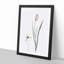Lady Tulip Flowers by Pierre-Joseph Redoute - Picture Frame Painting Print-55582134-55582140