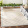 Kittrell Looped/Hooked Aqua Indoor/Outdoor Rug