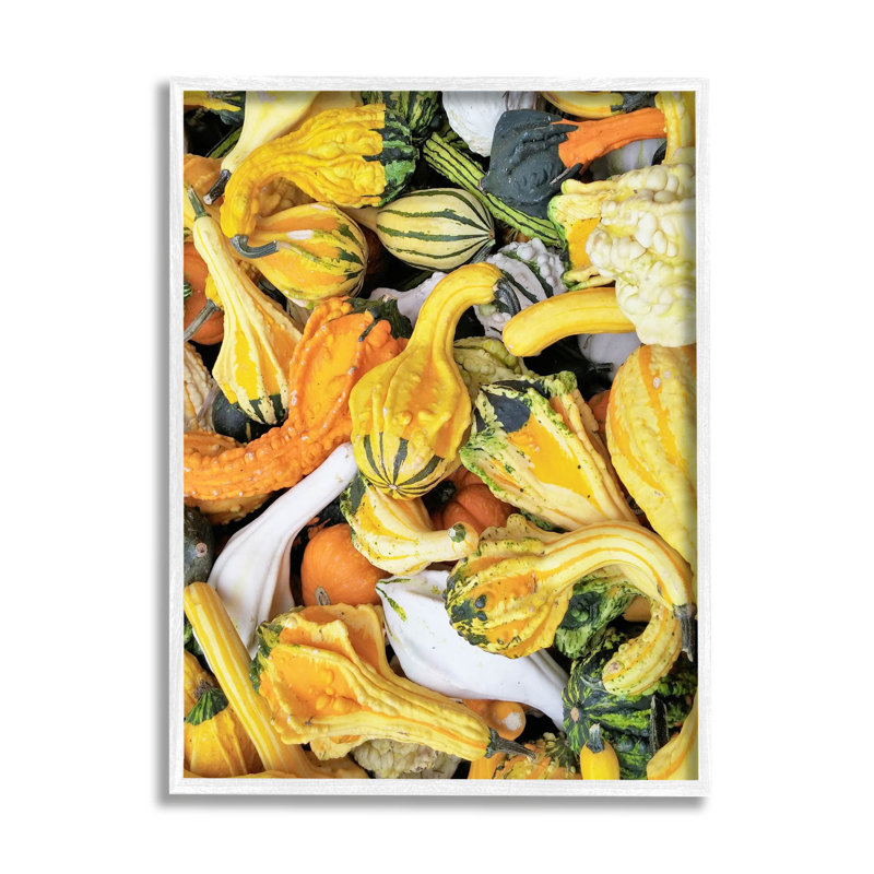 «Mixed Autumn Gourd Arrangement», estampe numérique par Lil 'Rue, H 20 po x l 16 po x P 1,5 po, Giclée encadrée noir minuit
