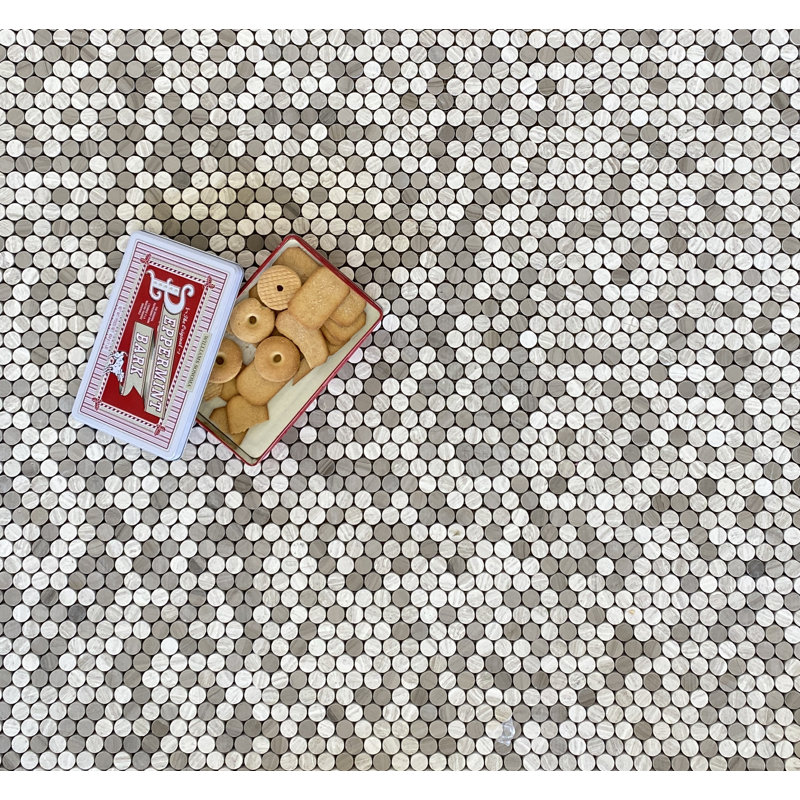 Oyster Glass Penny Round Mosaic Wall Tile