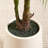Amarillo 84" Faux Palm Plants with Oval White Planter, Pre Potted Fake Greenry Palm Tree for Home Decor-1780762088