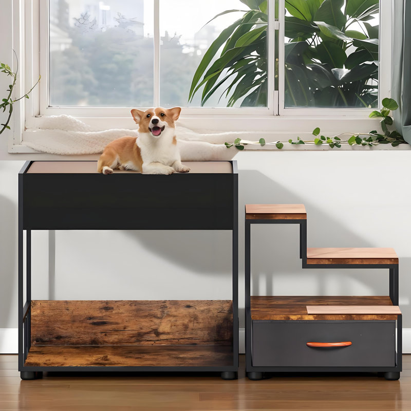 Lit superposé avec fenêtre pour perchoir pour chien