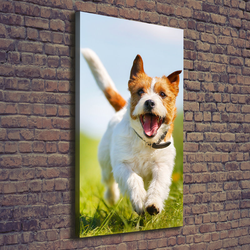 Dog Jack Russell - Wrapped Canvas Print
