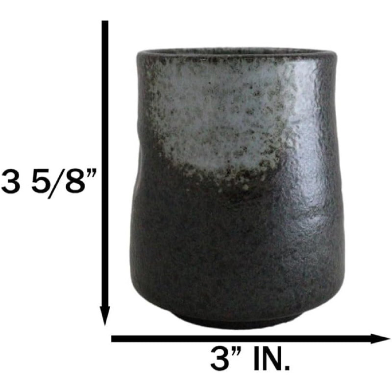 Paquet de 6 tasses à thé 9 onces Hakumu