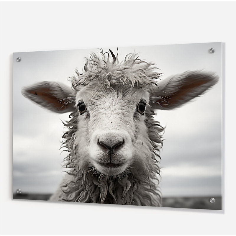 Sheep Serenity - Sheep Acrylique, art mural pour le salon, H 12 po x l 20 po