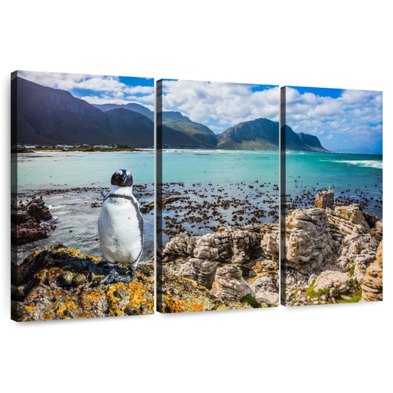 Brampt Atlantic Penguin, 36" H x 57" W